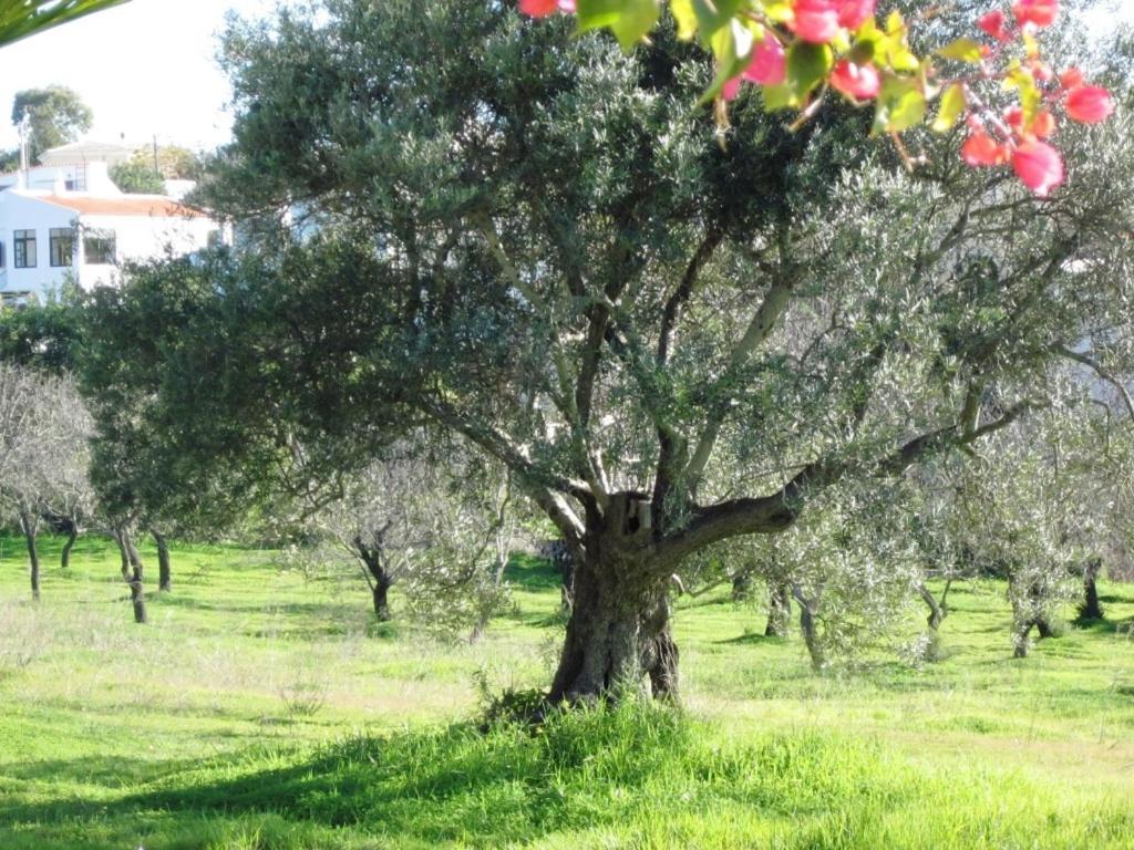 Отель Quinta Mimosa Лоле Номер фото