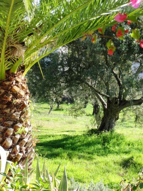 Отель Quinta Mimosa Лоле Номер фото